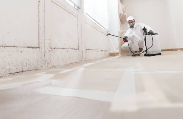 24/7 Emergency Commercial Mold Remediation experts in Tomball, TX