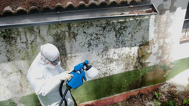 Trusted Commercial Mold Remediation service in Tomball, TX - Cheap Mold Removal